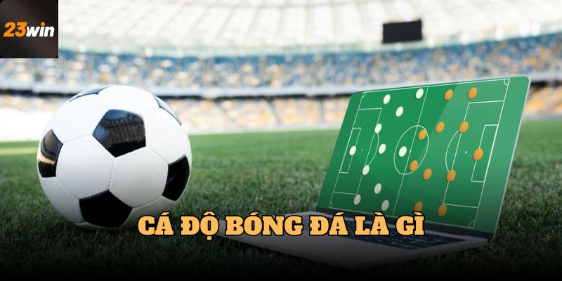 Bạn có biết cá độ bóng đá là gì