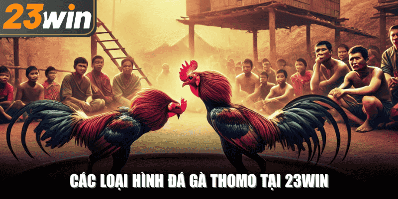 Các loại hình đá gà tại đấu trường Thomo