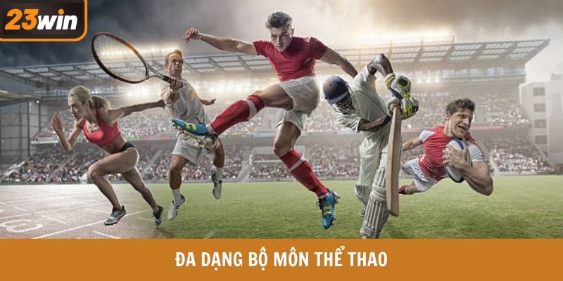 Đa dạng bộ môn thể thao