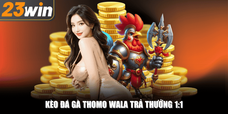 Kèo Wala trong đá gà Thomo có tỷ lệ trả thưởng là 1:1