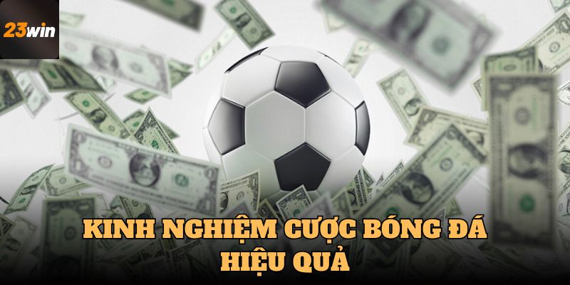 Hội viên cần nắm kinh nghiệm cược bóng đá hiệu quả