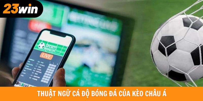 Thuật ngữ cá độ bóng đá trong kèo châu Á